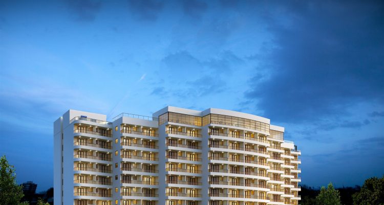 skydown propertues Divine Night Potrait