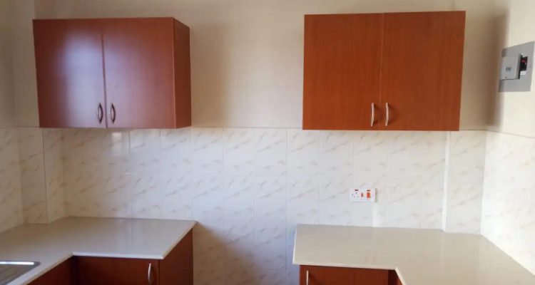 skydown properties appartement kitchen